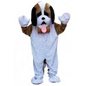 Location mascotte Panda