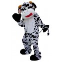 Location mascotte Panda