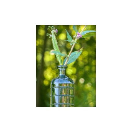 Location vase Nova vert océan 19cm