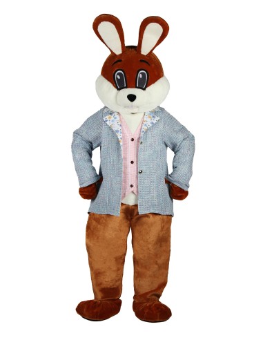 Location Mascotte lapin garçon